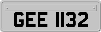 GEE1132