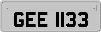 GEE1133