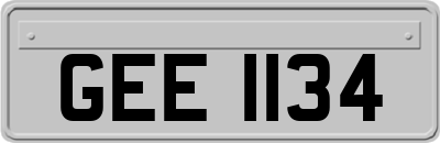 GEE1134