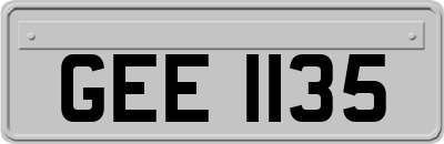 GEE1135