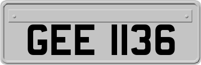 GEE1136