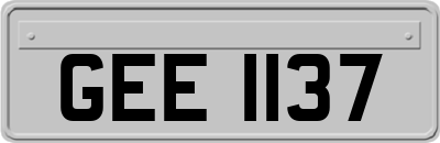 GEE1137
