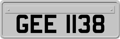 GEE1138