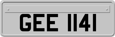 GEE1141