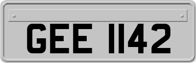 GEE1142