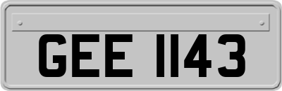 GEE1143
