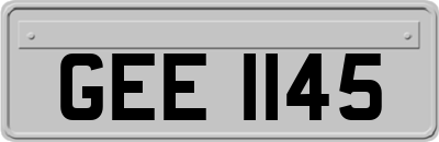 GEE1145