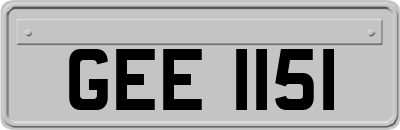 GEE1151