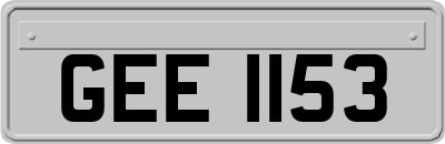 GEE1153