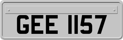 GEE1157
