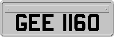 GEE1160