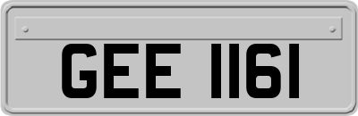 GEE1161