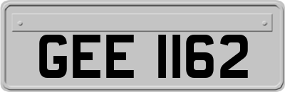 GEE1162