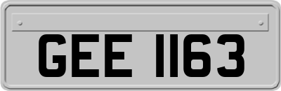 GEE1163