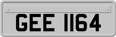 GEE1164