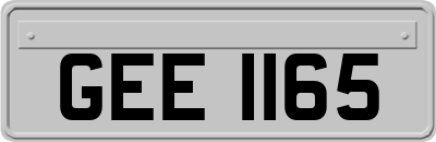 GEE1165