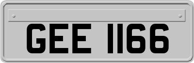 GEE1166