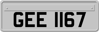 GEE1167