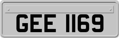 GEE1169