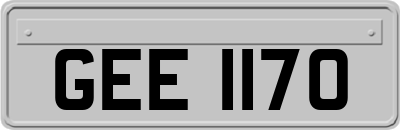 GEE1170