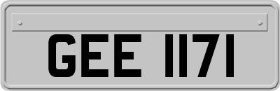GEE1171