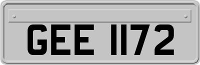 GEE1172