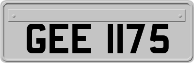 GEE1175