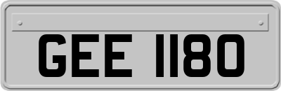 GEE1180