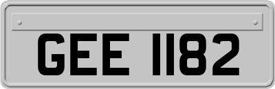 GEE1182