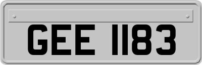 GEE1183