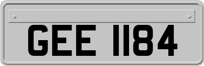 GEE1184