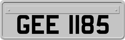 GEE1185