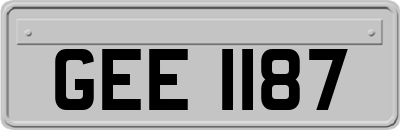GEE1187