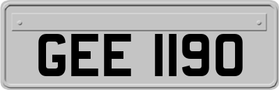 GEE1190