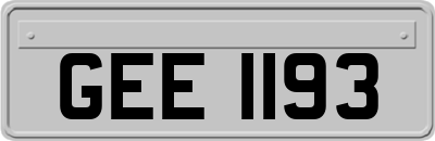 GEE1193