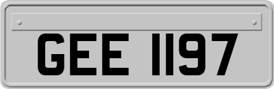 GEE1197