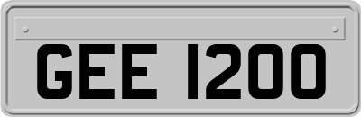GEE1200