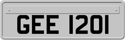 GEE1201