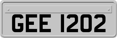 GEE1202