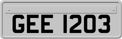 GEE1203