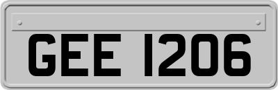 GEE1206