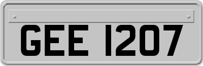 GEE1207