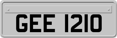 GEE1210