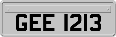 GEE1213