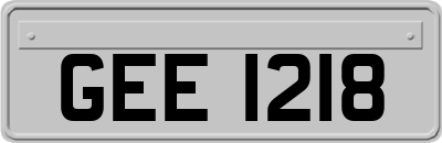 GEE1218