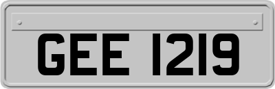 GEE1219