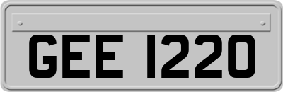 GEE1220