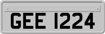 GEE1224