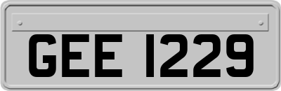 GEE1229
