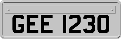 GEE1230